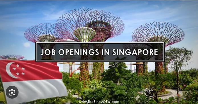 Singapore Hiring: Urgent Multiple Factory Jobs Openings Available Now 2023-2024